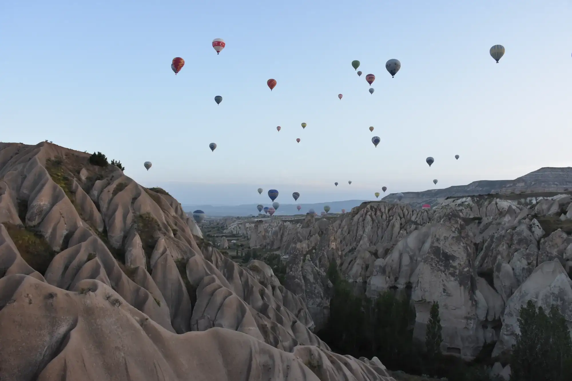 Balloons scattered across a pale dawn sky above the valleys near Göreme.